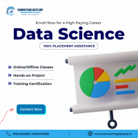 Get Up to ?5000 Off This Christmas with the Best SAP Course in Pune!