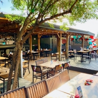 Best Restaurants in Mckinney
