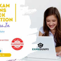ExamDumpsIn