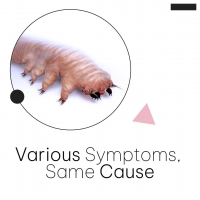 Multiple Symptoms, Same Underlying Cause